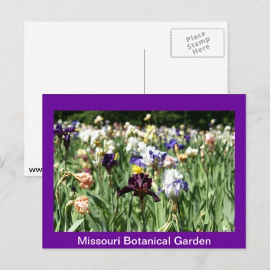 IRIS-veld Briefkaart (Voorkant / Achterkant)