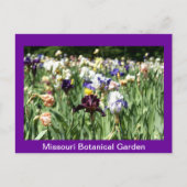 IRIS-veld Briefkaart (Voorkant)
