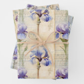 Iris verpakkingspapier inpakpapier vel (In situ)