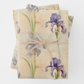 Iris verpakkingspapier inpakpapier vel (In situ)