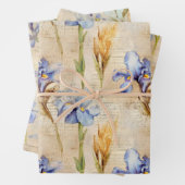 Iris verpakkingspapier inpakpapier vel (In situ)