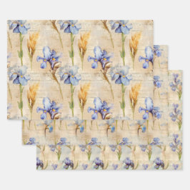 Iris verpakkingspapier inpakpapier vel