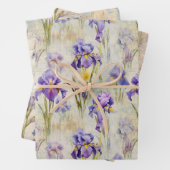 Iris verpakkingspapier inpakpapier vel (In situ)