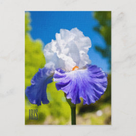 Iris verticaal Briefkaart