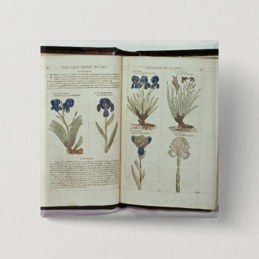 Iris Vierkante Button 5,1 Cm (Voorkant)