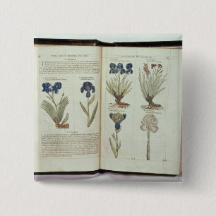 Iris Vierkante Button 5,1 Cm