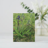 Iris, Vincent van Gogh Briefkaart (Staand voorkant)