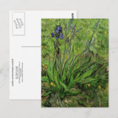 Iris, Vincent van Gogh Briefkaart (Voorkant / Achterkant)