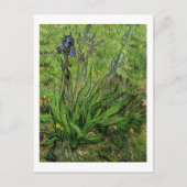 Iris, Vincent van Gogh Briefkaart (Voorkant)