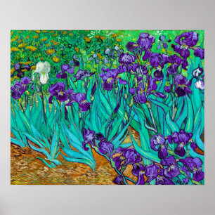 Iris, Vincent van Gogh Poster