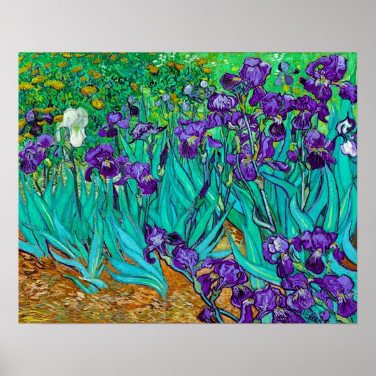 Iris, Vincent van Gogh Poster (Voorkant)