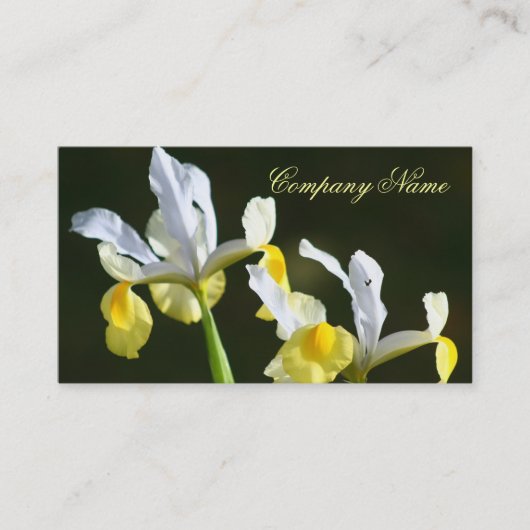 Iris Visitekaartjes (Voorkant)