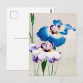Iris, Watanabe Seitei Briefkaart (Voorkant / Achterkant)