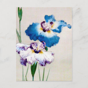 Iris, Watanabe Seitei Briefkaart