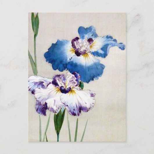 Iris, Watanabe Seitei Briefkaart (Voorkant)