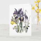 Iris Watercolor Condoleancekaart Bijgewerkt Kaart (Gele Bloem)