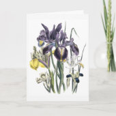 Iris Watercolor Sympathy Card Updated Kaart (Voorkant)