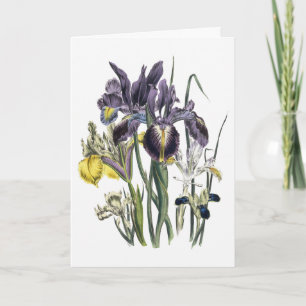 Iris Waterverf Bedankt Card