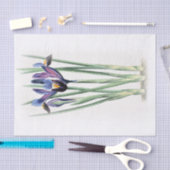 Iris  Waterverf op papier met schroefdop (Craft)