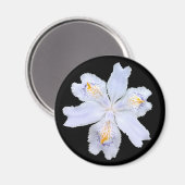 Iris White Magneet (Voorkant / Achterkant)
