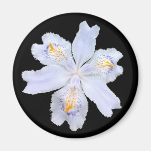 Iris White Magneet
