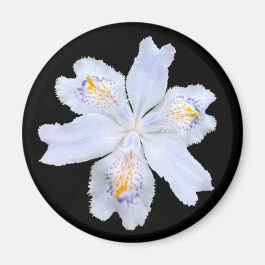 Iris White Magneet (Voorkant)