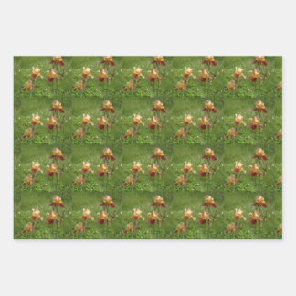 Iris Wrapping Paper