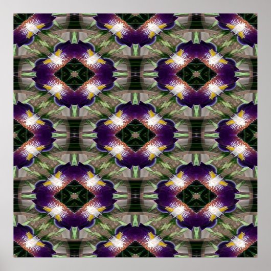 Iris Wreaths.... Poster (Voorkant)