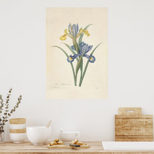 Iris Xiphium Poster (Keuken)
