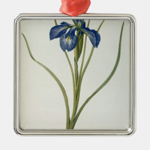 Iris Xyphioides, van "Les Liliacees", 1808 Metalen Ornament