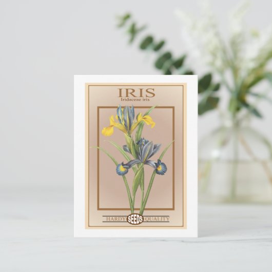 iris zaadpakket briefkaart (Staand voorkant)