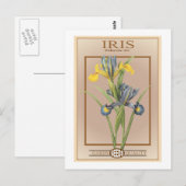 iris zaadpakket briefkaart (Voorkant / Achterkant)