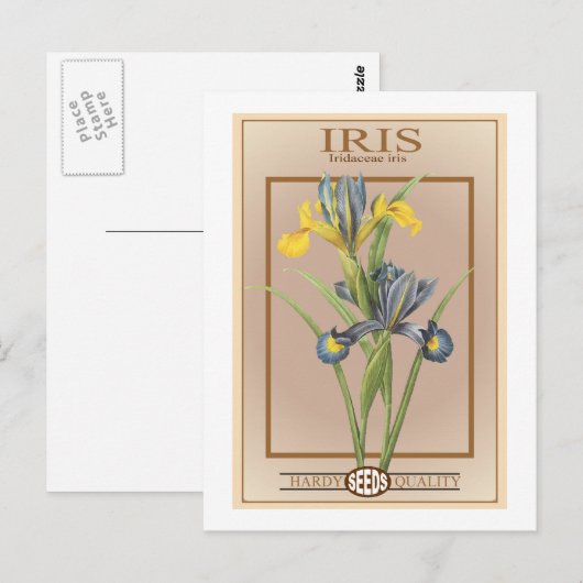 iris zaadpakket briefkaart (Voorkant / Achterkant)