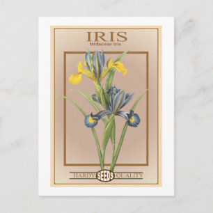 iris zaadpakket briefkaart