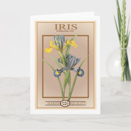 iris zaadpakket kaart (Voorkant)