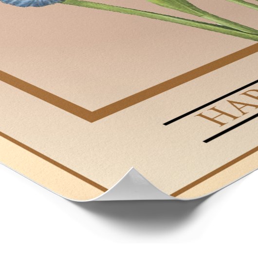 iris zaadpakket poster (Hoek)