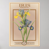 iris zaadpakket poster (Voorkant)