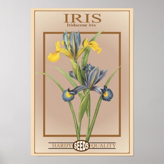 iris zaadpakket poster (Voorkant)
