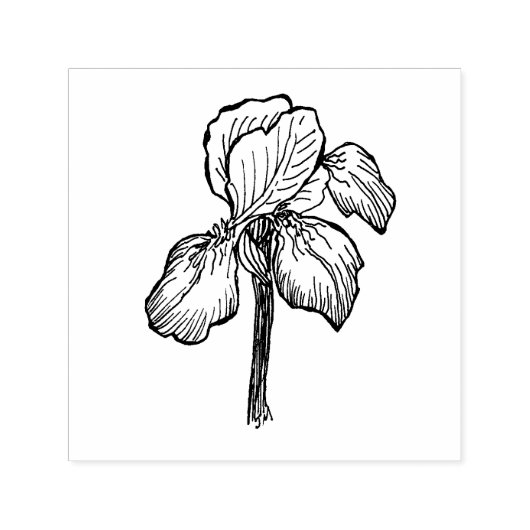 Iris Zelfinktende Stempel (Design)