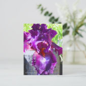 Iris "zigeunerRomance"    [Briefkaart] Briefkaart (Staand voorkant)