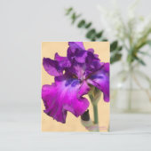 Iris "zigeunerRomance"    [Briefkaart] Briefkaart (Staand voorkant)