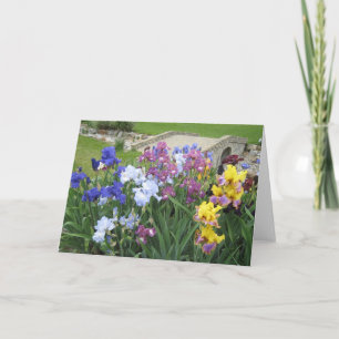 irisbeekje grote blanco kaart