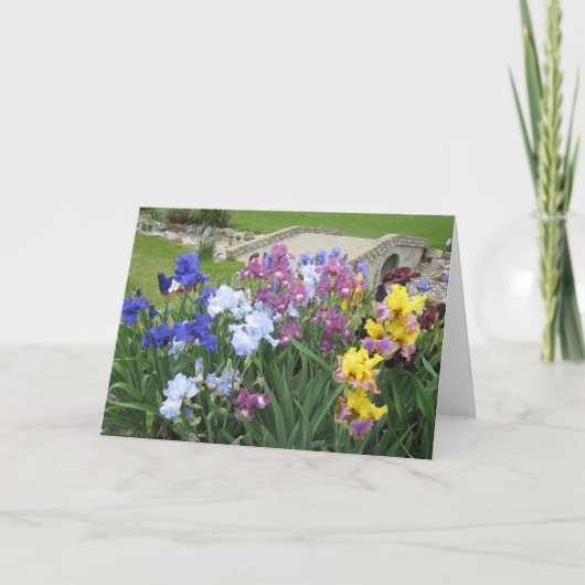 irisbeekje grote blanco kaart (Voorkant)