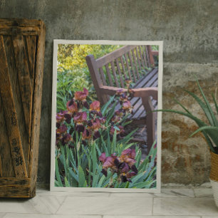 Irisbloei en Garden Park Bench Bloemen Foto Afdruk
