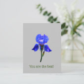 Irisbloem Briefkaart (Staand voorkant)