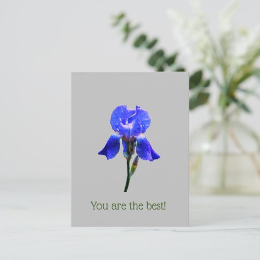 Irisbloem Briefkaart (Staand voorkant)