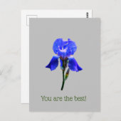 Irisbloem Briefkaart (Voorkant / Achterkant)