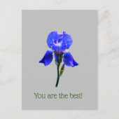 Irisbloem Briefkaart (Voorkant)