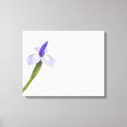 Irisbloem. Canvas Afdruk (Voorkant)