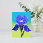 Irisbloem Feestdagenkaart (Staand voorkant)